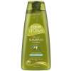 Dalan Olive shampoo volumizing, 400ml