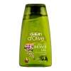 Dalan Olive perzik douche gel 250ml