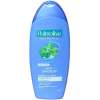 Palmolive Shampoo anti roos wilde mint, 350 ml